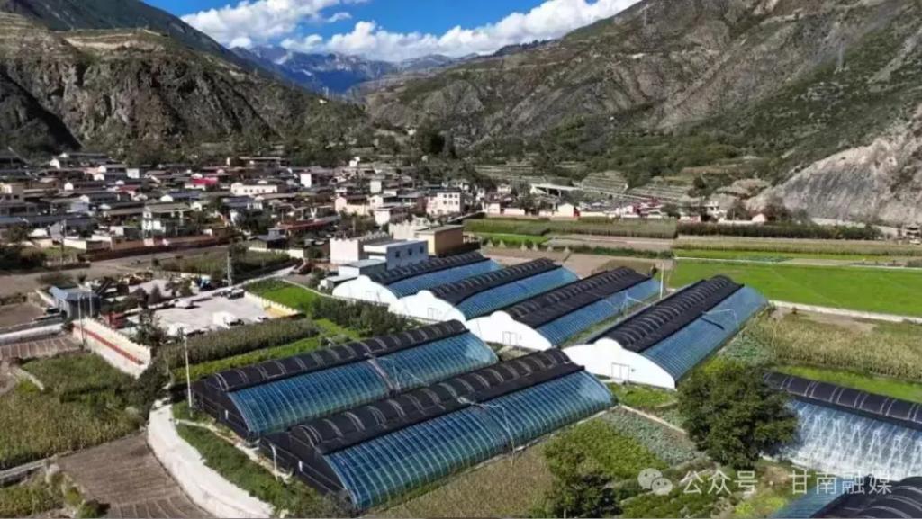 舟曲:“小产业”做出“大文章”