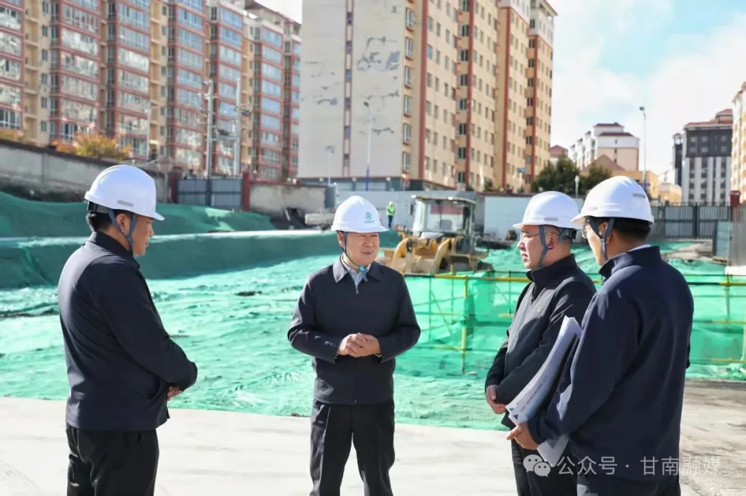何谋保在合作市督导工作