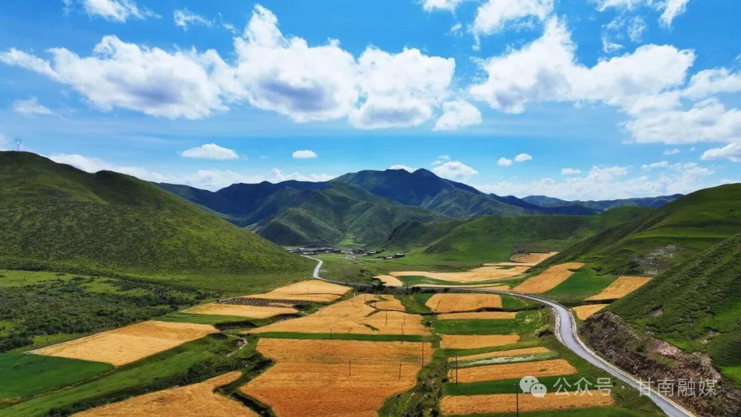 合作:深耕高原沃土 擘画振兴蓝图