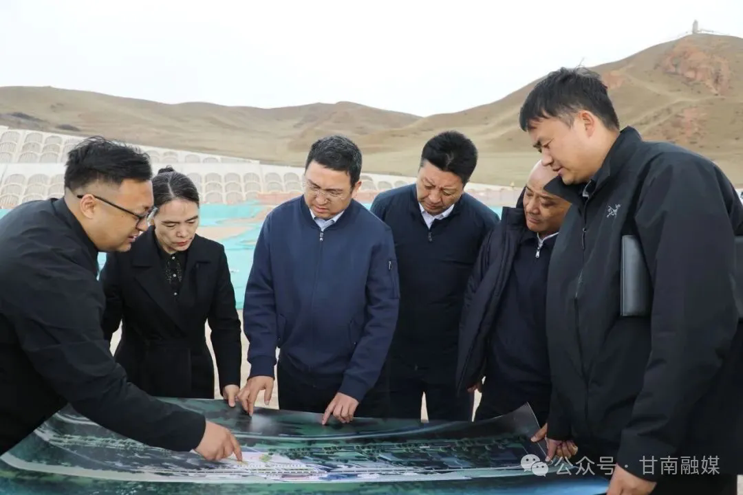 杨振林在合作市和州直有关部门调研指导重点工作