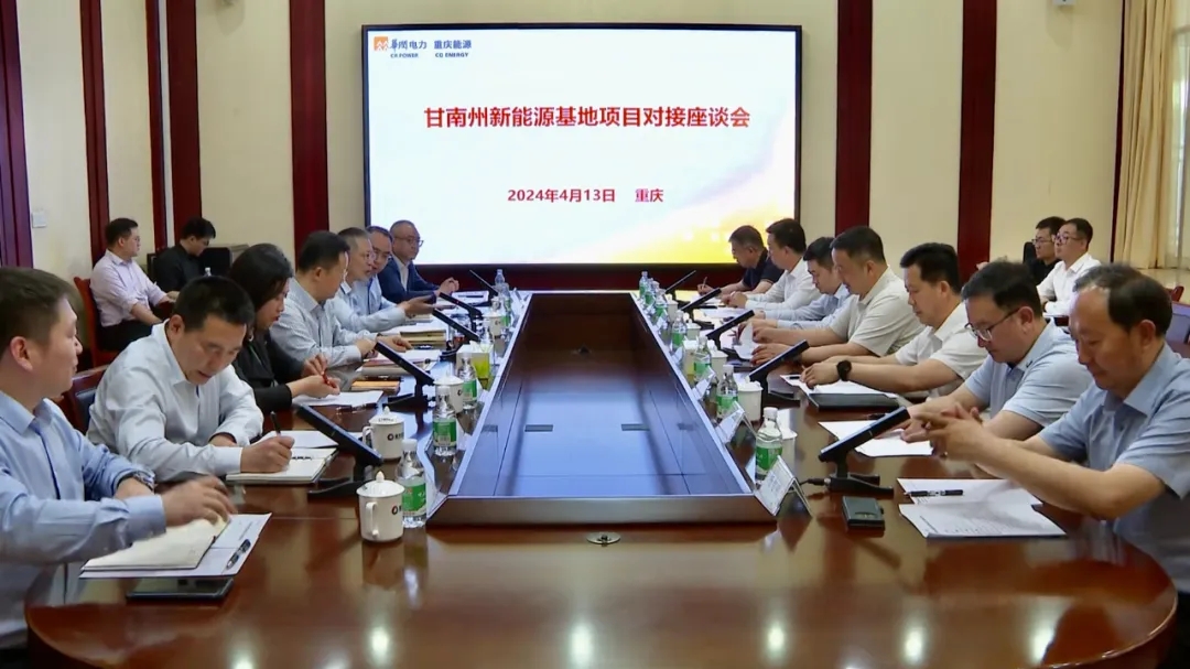 杨武一行赴重庆市能源投资集团对接洽谈甘南州新能源基地项目